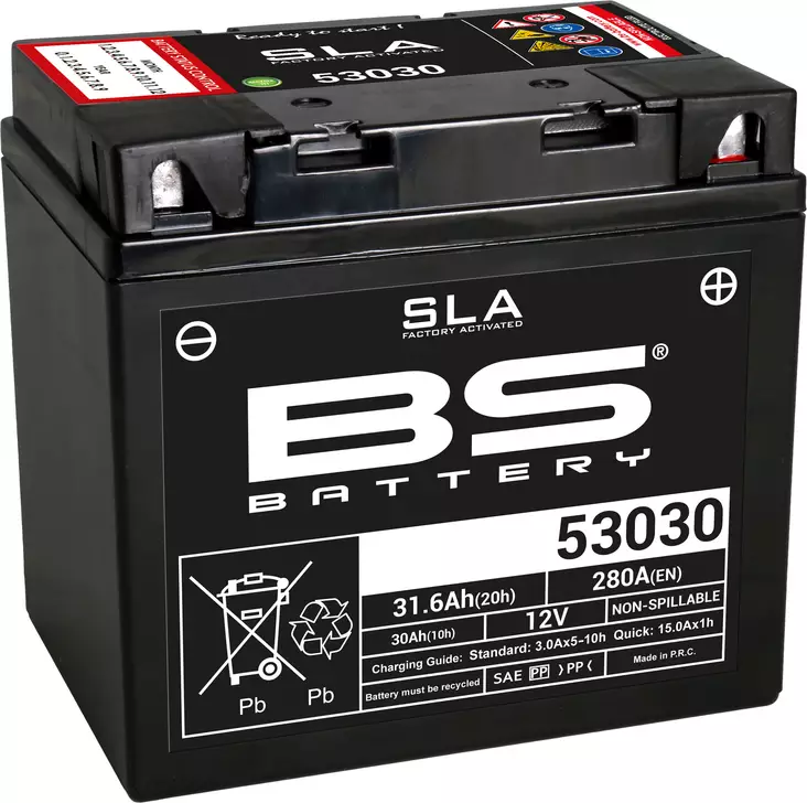 BS Battery 53030 (FA) SLA - Sealed & Activated - BS akut - 140-300880 - 1