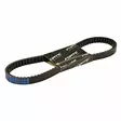 Forte Variaattorihihna, 788 x 17 , Kiina-skootterit 12" - 13" / Solifer 06- - Mopon variaattorinhihnat - 304-78441 - 1