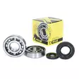 ProX Kampiakselin laakerit+stefat YZ250 01-14 - Crossipyörän kampiakselin laakerit - 400-23-CBS23001 - 2