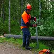 Suuntaaja/kaatotunkki Timco Maxi 550KG - Turvavarusteet - 103719862 - 5