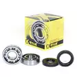 ProX Kampiakselin laakerit+stefat YZ80 82-92 - Crossipyörän kampiakselin laakerit - 400-23-CBS21082 - 1