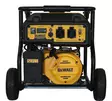DEWALT DXGNP30E AGGREGAATTI - Aggregaatit - 103713133 - 2