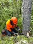 Jokijärven mekaaninen kaatokiila - Turvavarusteet - 103338174 - 5