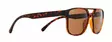 Spect Red Bull Elroy aurinkolasit Shiny Havana w Brown lens - Aurinkolasit - 674-25016 - 2
