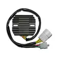 Electrosport Latauss./Tasasuunt. Honda CBR929 00-01 - Moottoripyörän sähköosat - 110-07-0436 - 1