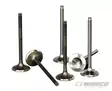 Wiseco imuventtiili Titanium Kawasaki KX450F 16-18 - Crossipyörän imuventtiilit - 398-VIT046 - 2