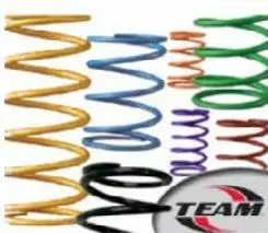 Team jousi toisiov. 120-220 puna/vihr - Moottorikelkan variaattorin jouset - 801-210177 - 1