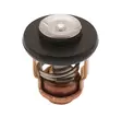 Sea-X, termostaatti Yamaha - Veneen termostaatit - 122-9-43037 - 1