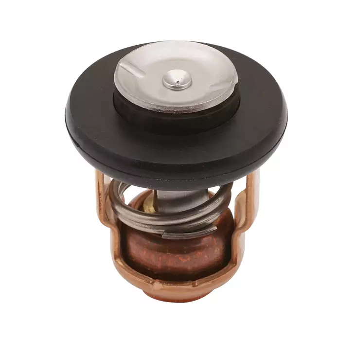 Sea-X, termostaatti Yamaha - Veneen termostaatit - 122-9-43037 - 1