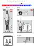 Champion Sytytystulppa 8698 Powersport - Sytytystulpat - 13C-8698 - 1