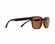 Spect Red Bull Eliot aurinkolasit Shiny Havana w Brown lens - Aurinkolasit - 674-25009 - 1