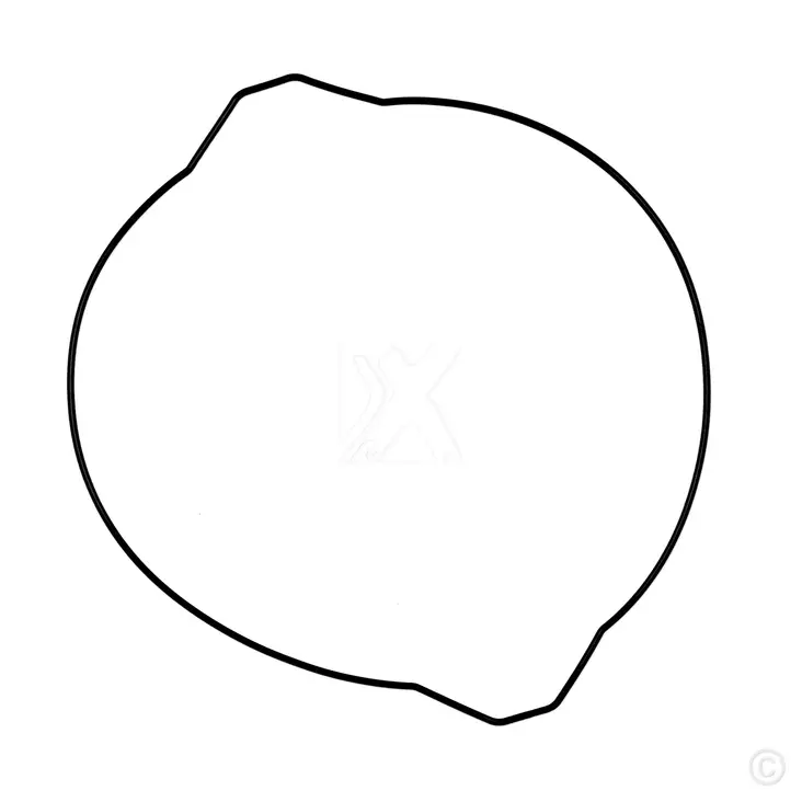 ProX Kytkinkopan tiiviste YZ250 99-10 - Crossipyörän kytkinkopan tiivisteet - 400-19-G2399 - 1